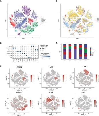 Spatial heterogeneity and Immune infiltration of cellular lysosomal pathways reveals a new blueprint for tumor heterogeneity in esophageal cancer